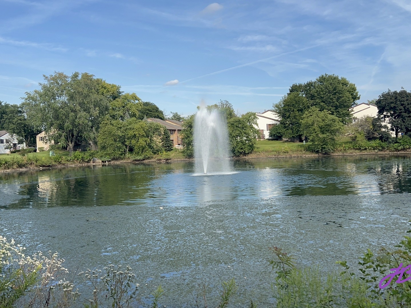 345 OZARK Drive, Bolingbrook, IL 60440