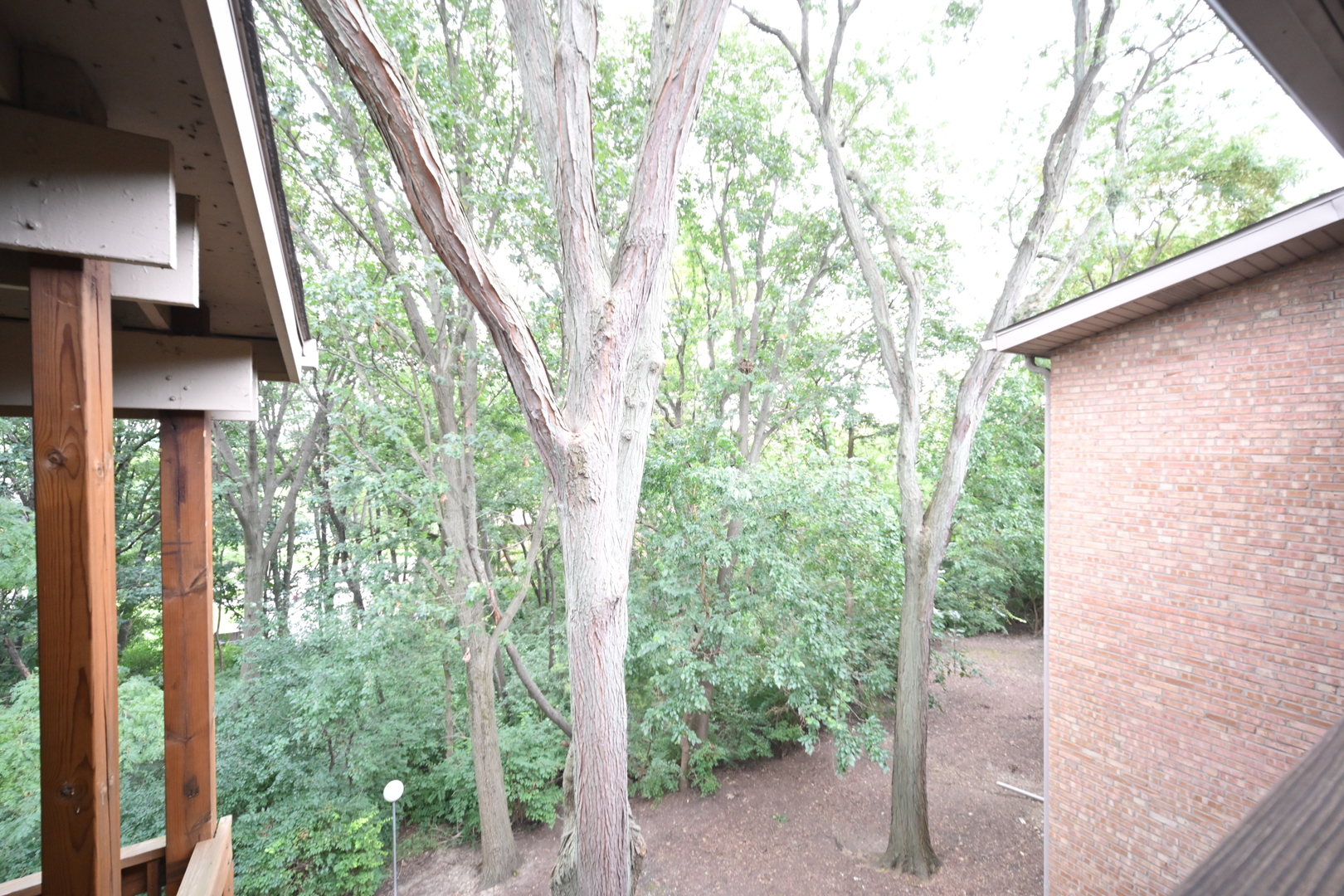 5817 Oakwood Drive #F, Lisle, IL 60532