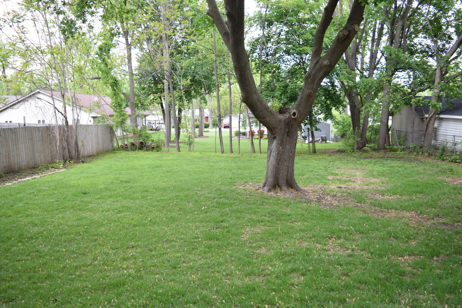 764 BUCKEYE Street, Elgin, IL 60123