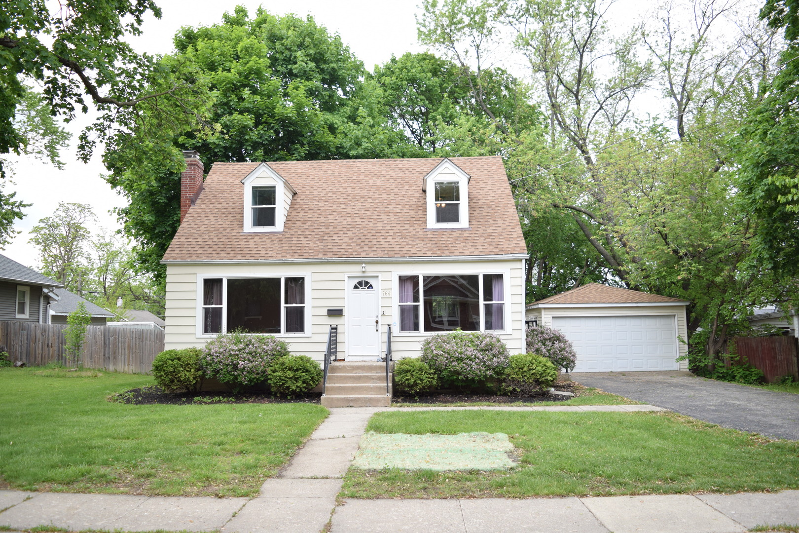 764 BUCKEYE Street, Elgin, IL 60123