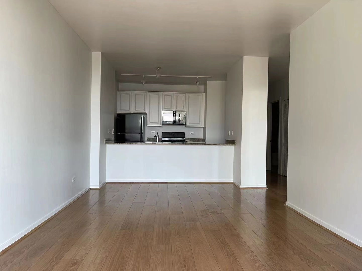 210 S Desplaines Street #1205, Chicago, IL 60661