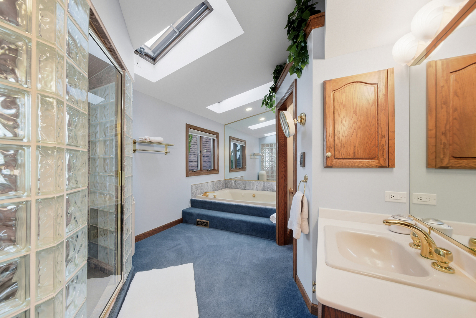 607 Berkshire Court, Downers Grove, IL 60516