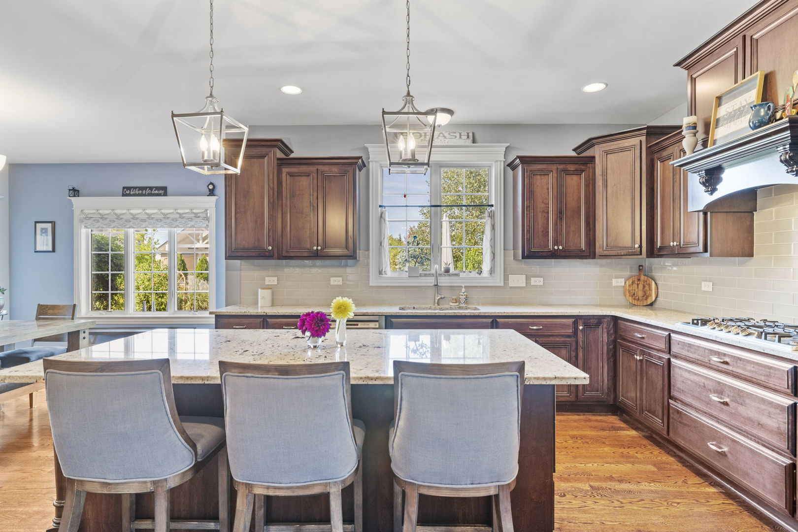 11886 Alana Lane, Frankfort, IL 60423