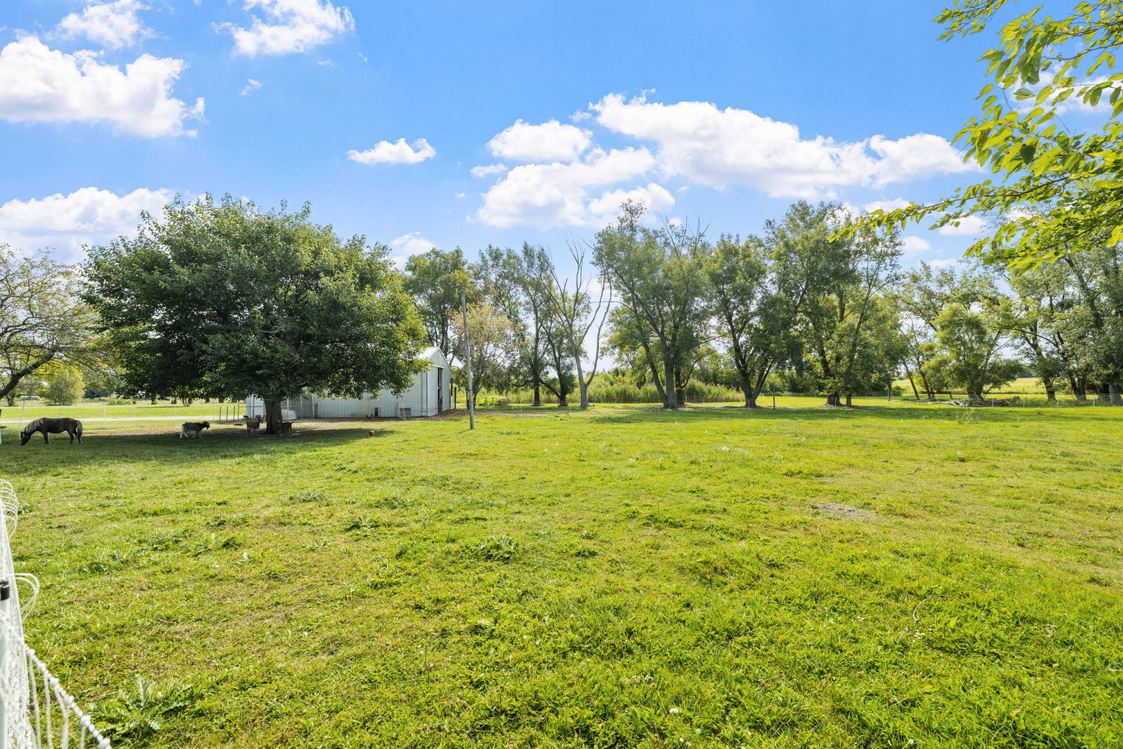 6237 W Dralle Road, Monee, IL 60449