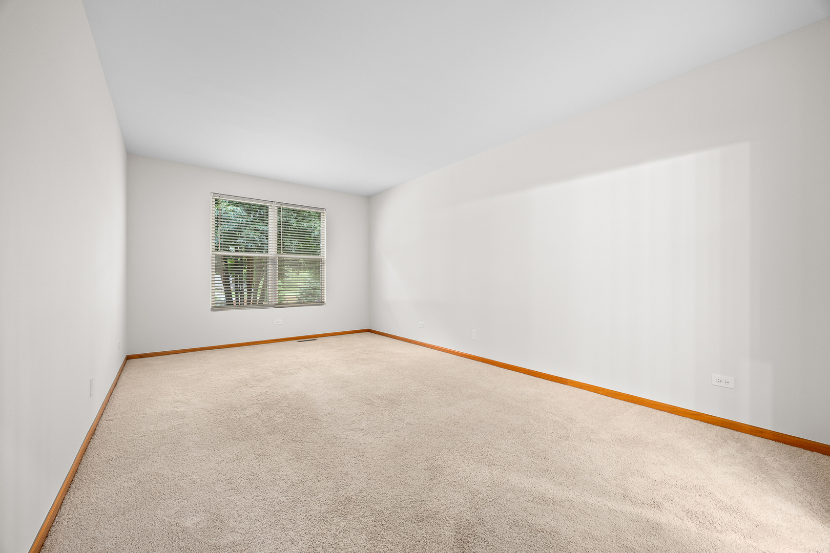 11723 S Heritage Meadows Drive, Plainfield, IL 60585