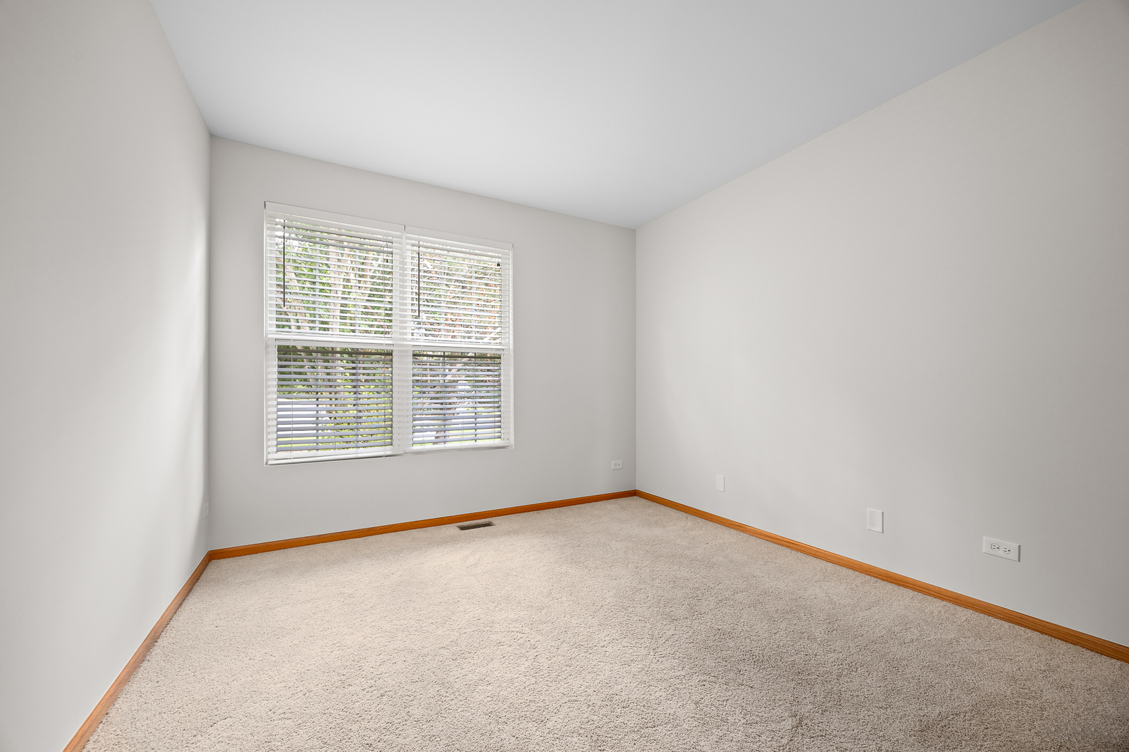 11723 S Heritage Meadows Drive, Plainfield, IL 60585