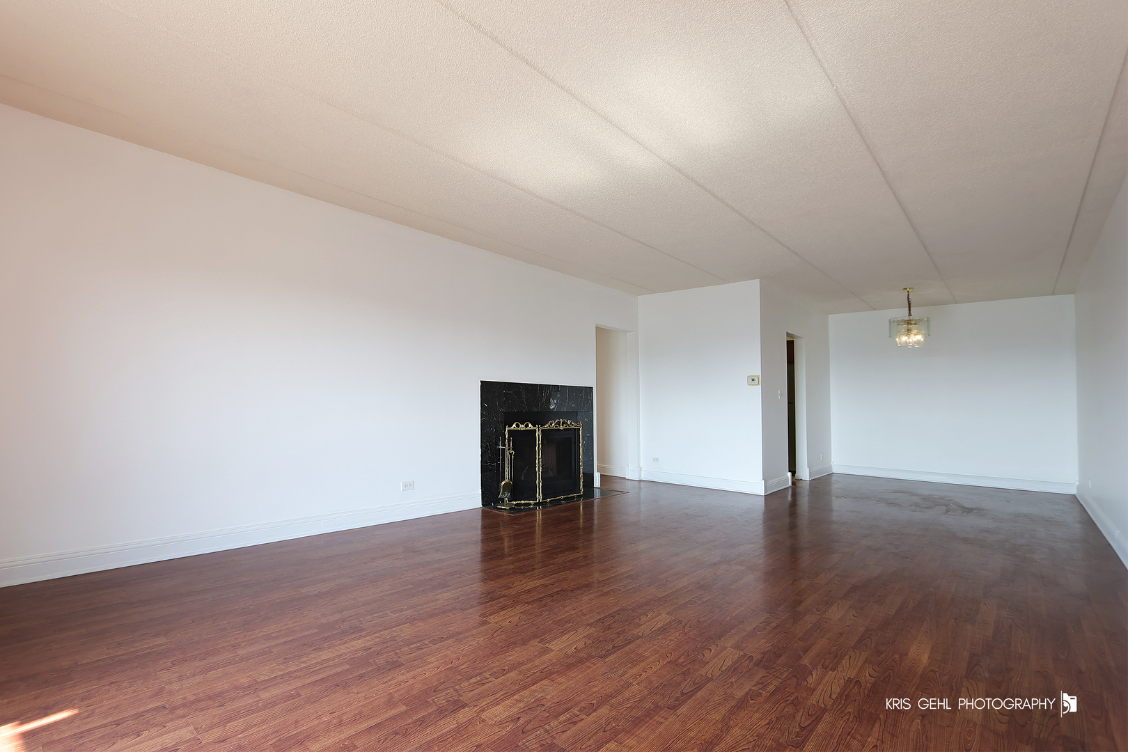 12900 W Heiden Circle #4206, Lake Bluff, IL 60044