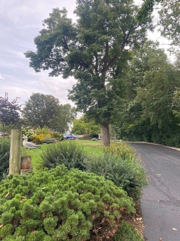 141 S Lakeshore Drive #B1, Racine, WI 53403