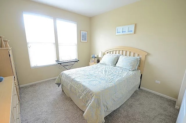 7 Snead Court, Bolingbrook, IL 60490