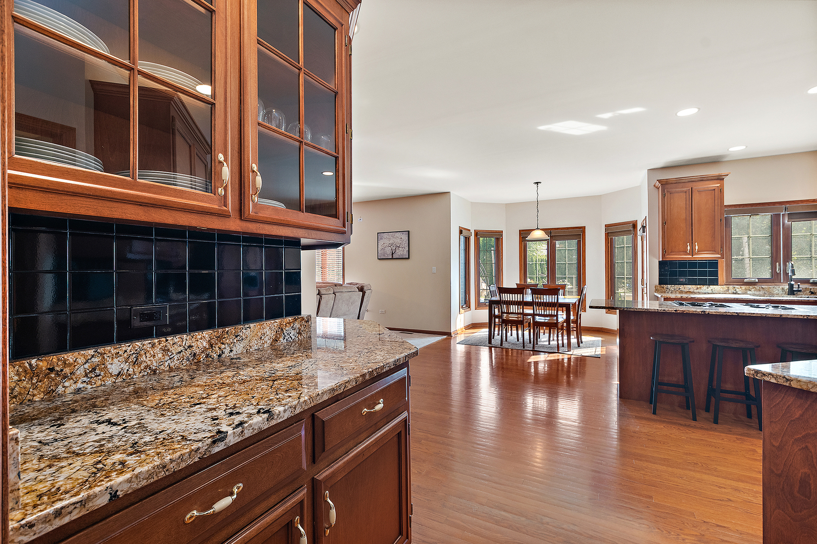 11707 Coquille Drive, Frankfort, IL 60423