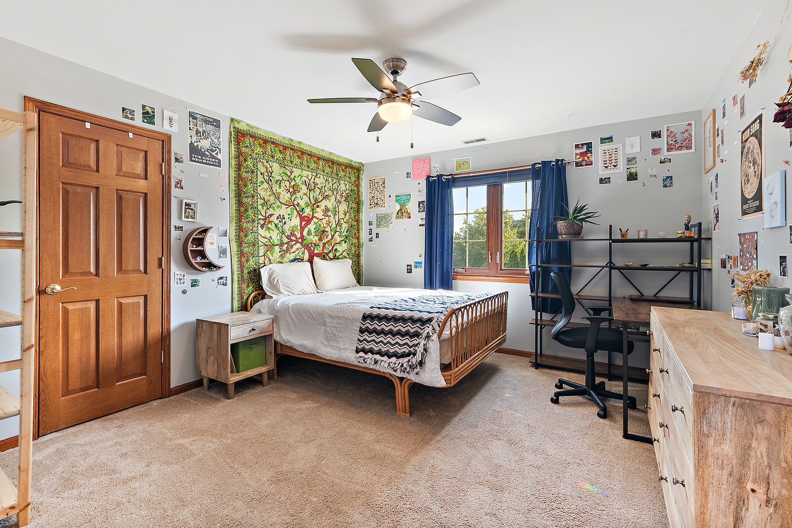 11707 Coquille Drive, Frankfort, IL 60423