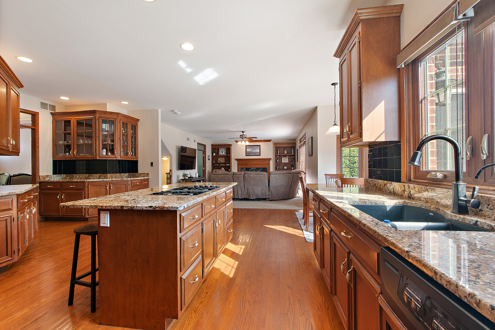 11707 Coquille Drive, Frankfort, IL 60423