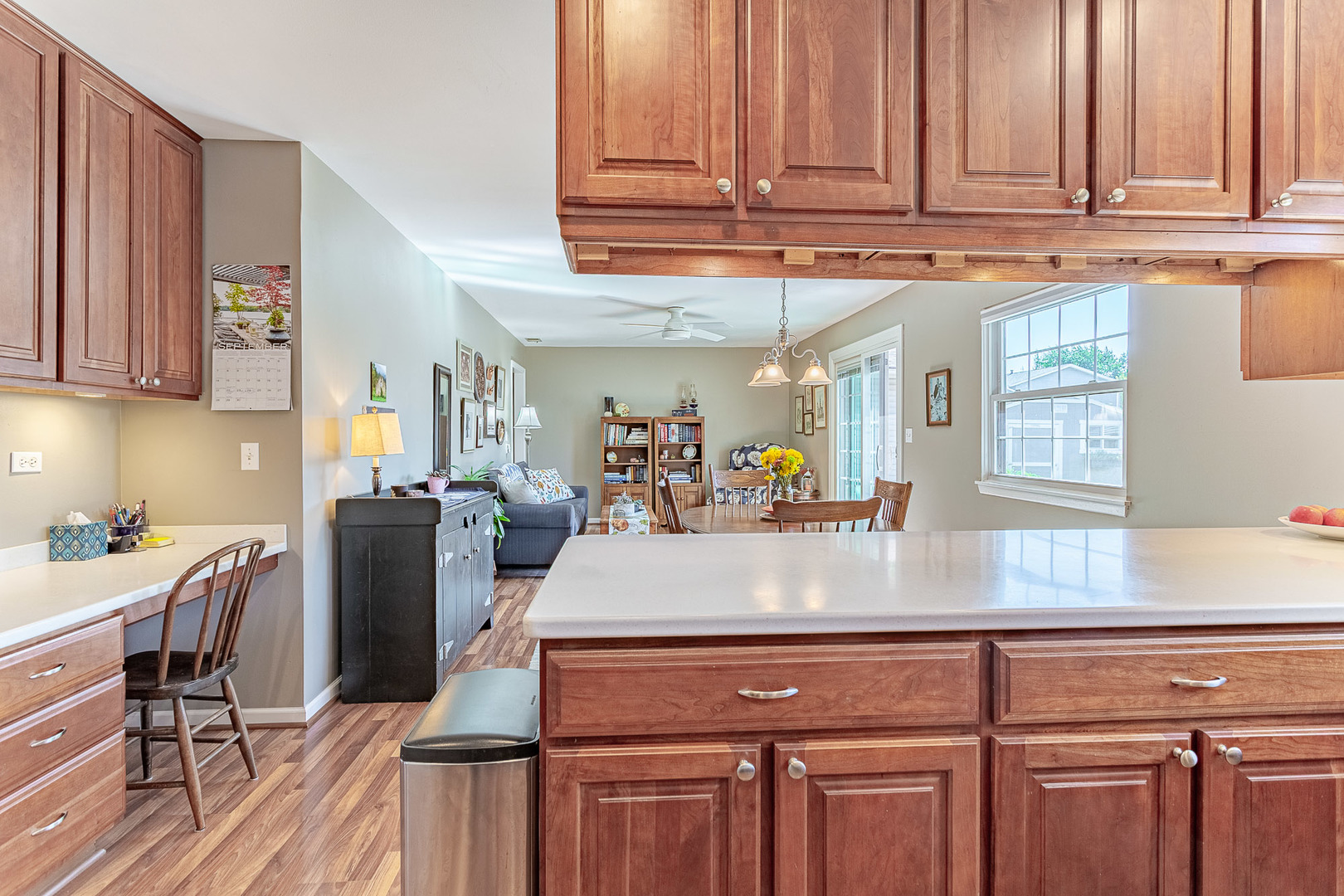 579 Bristol Lane, Elk Grove Village, IL 60007