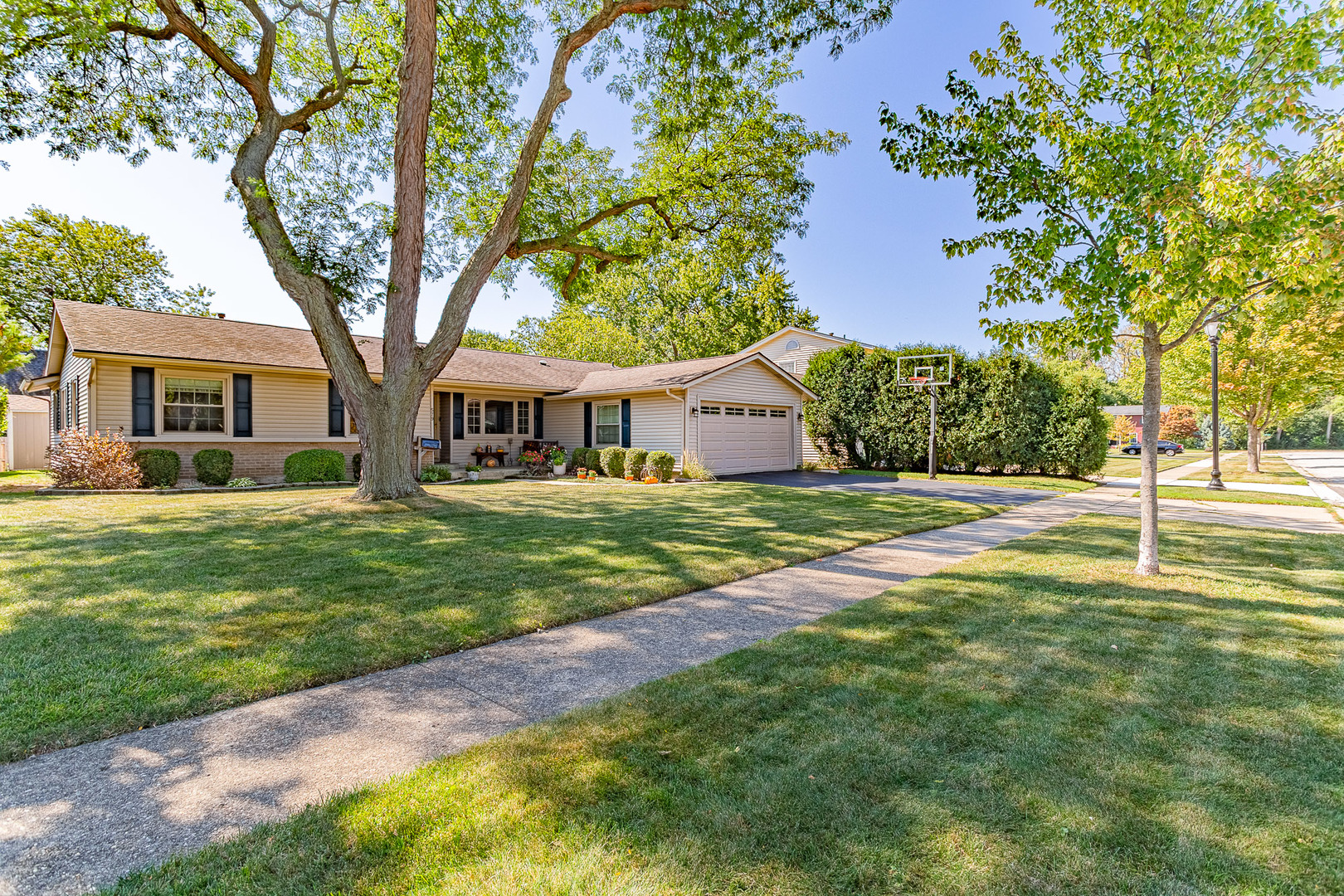579 Bristol Lane, Elk Grove Village, IL 60007