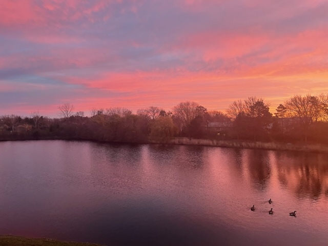 110 Waterside Place, Burr Ridge, IL 60527