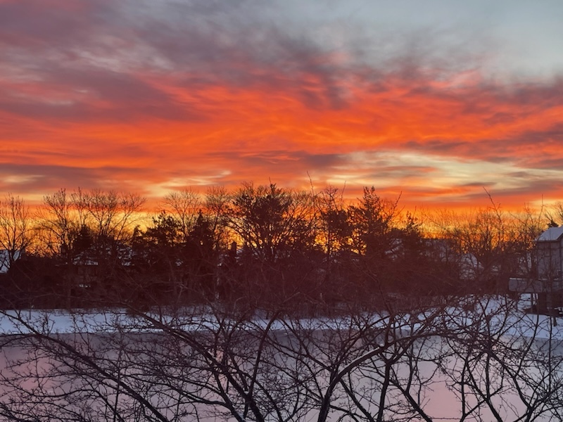 110 Waterside Place, Burr Ridge, IL 60527