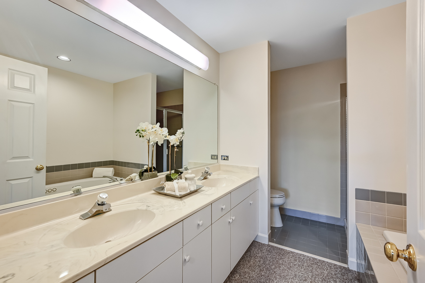 110 Waterside Place, Burr Ridge, IL 60527