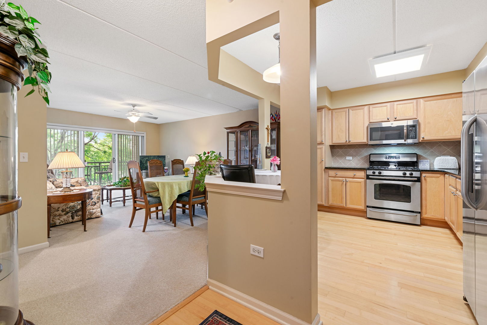 225 Main Street #201, Roselle, IL 60172