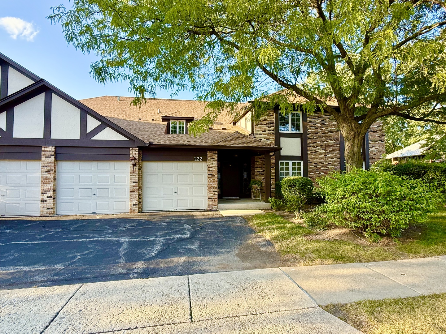 222 Stanhope Drive #B, Willowbrook, IL 60527