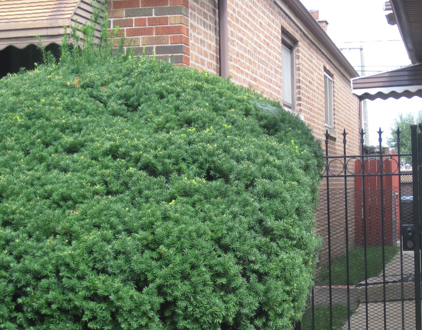 11149 S Green Bay Avenue, Chicago, IL 60617