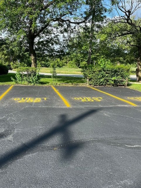 17701 Park Boulevard #203, Lansing, IL 60438