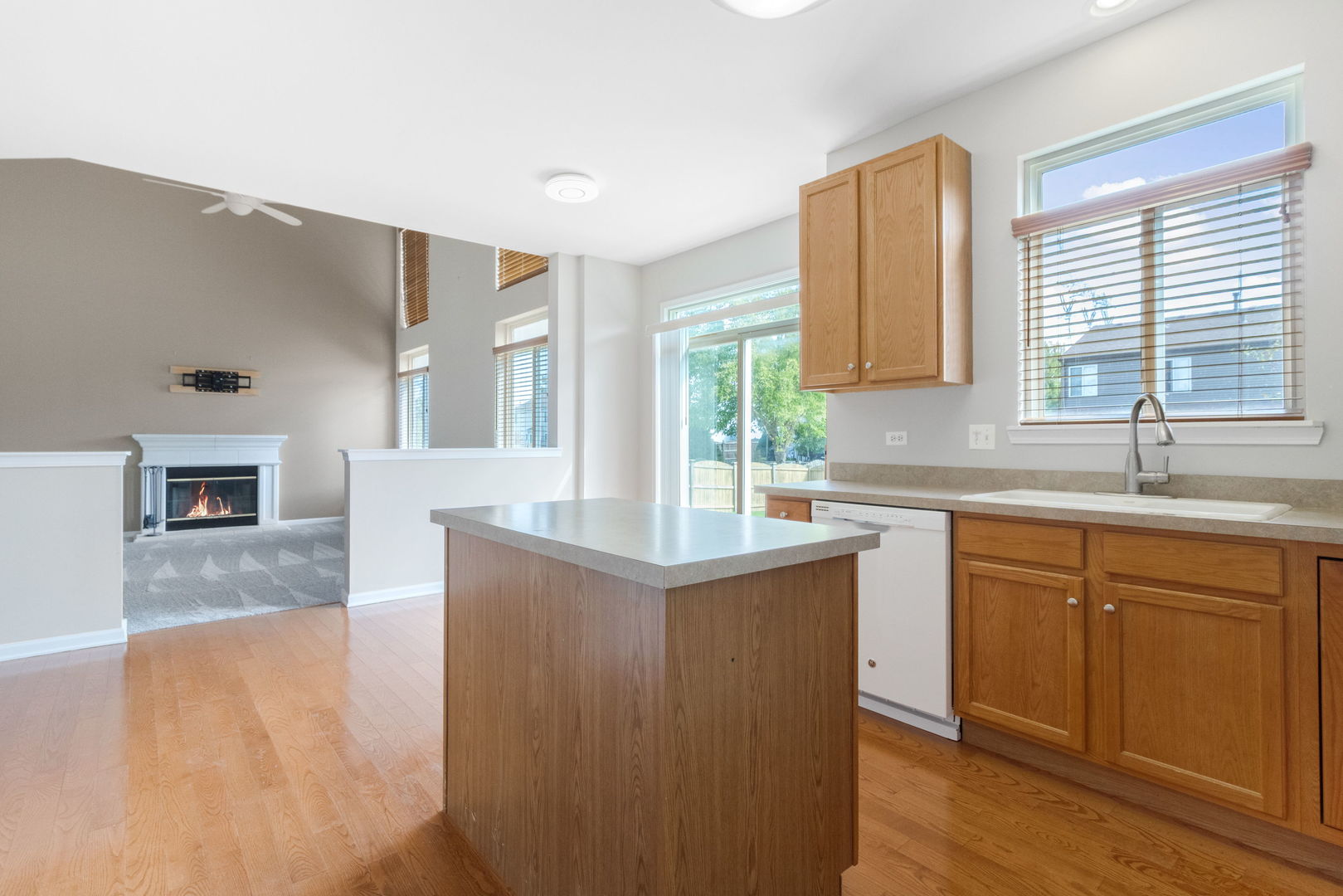 25765 S Yellow Pine Drive, Channahon, IL 60410