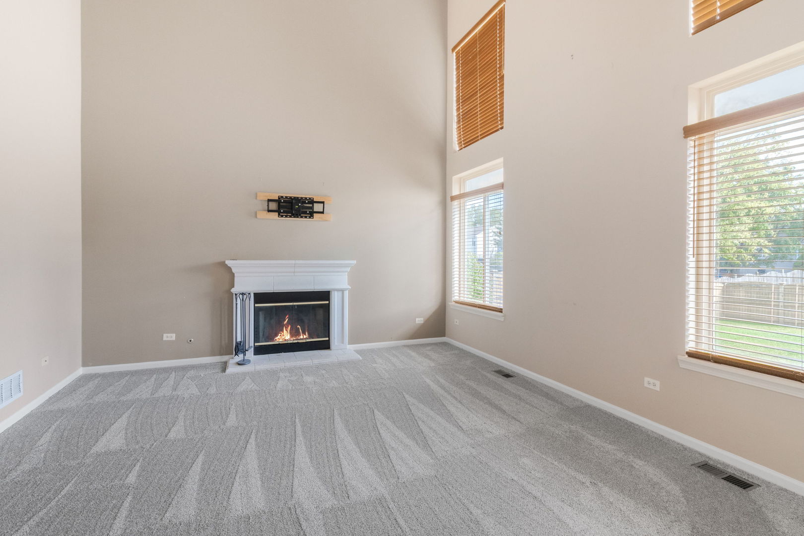 25765 S Yellow Pine Drive, Channahon, IL 60410