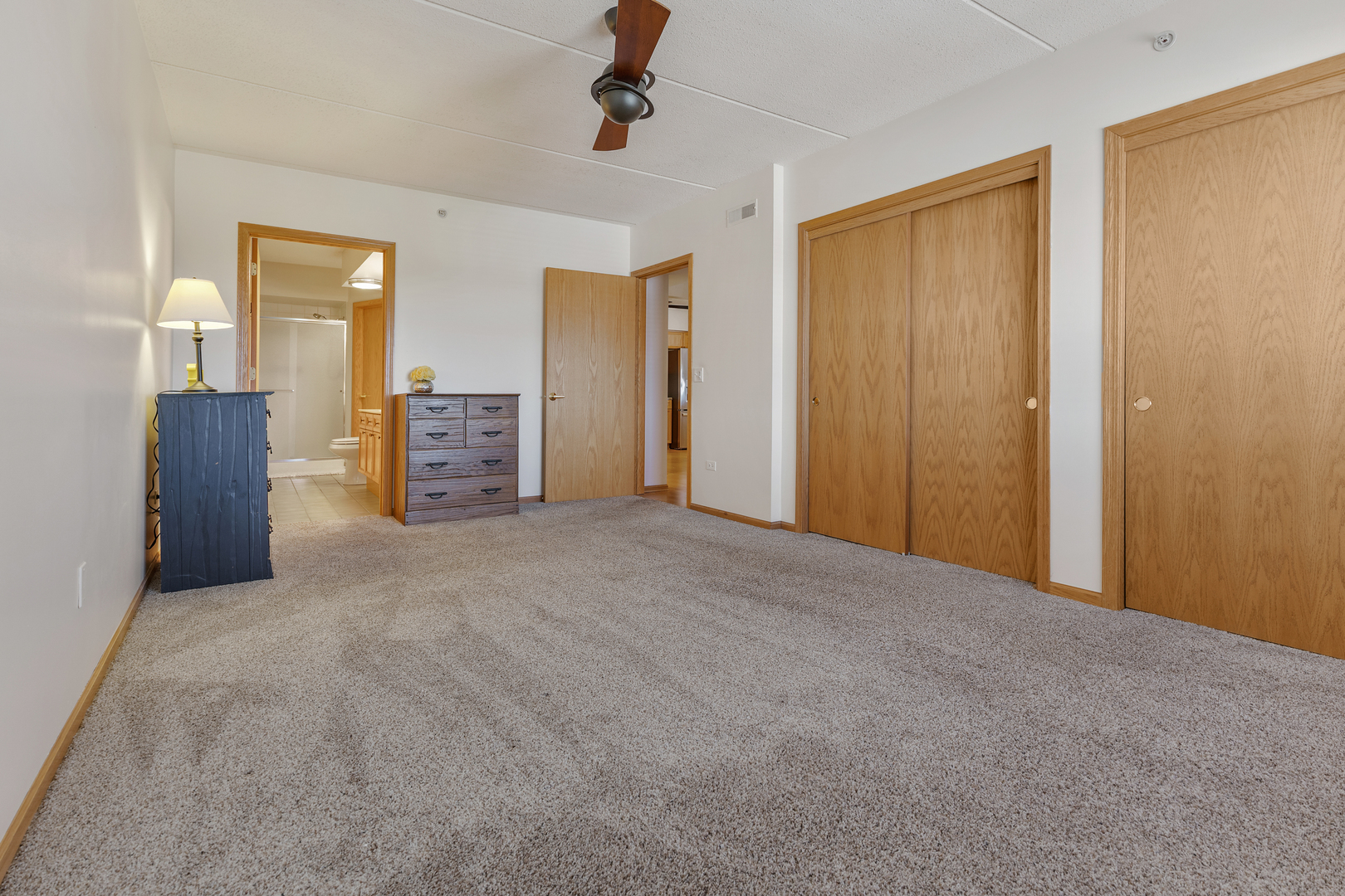 1476 Perry Street #506, Des Plaines, IL 60016