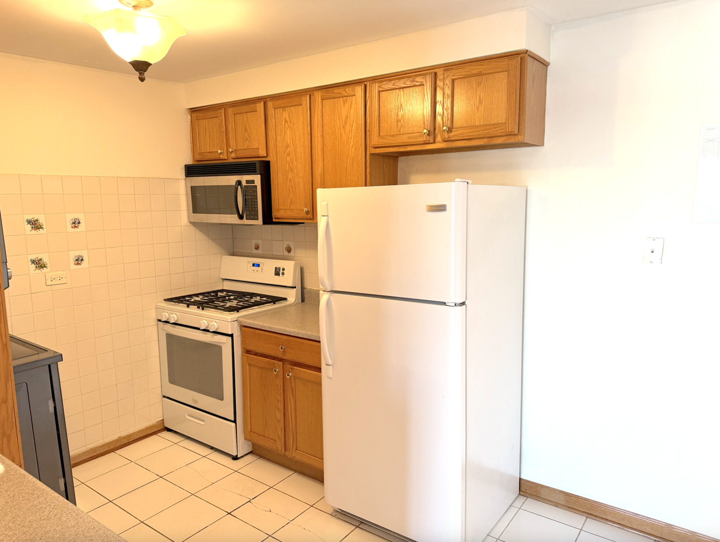 9407 S Roberts Road #3SE, Hickory Hills, IL 60457