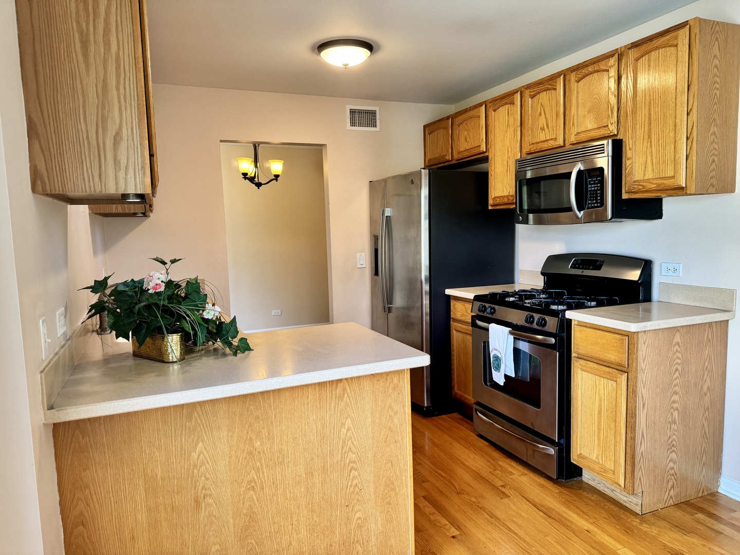 300 Pembridge Lane #D2, Schaumburg, IL 60193