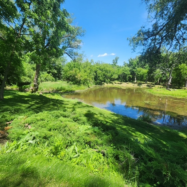 16400 W Kelly Road, Wadsworth, IL 60083