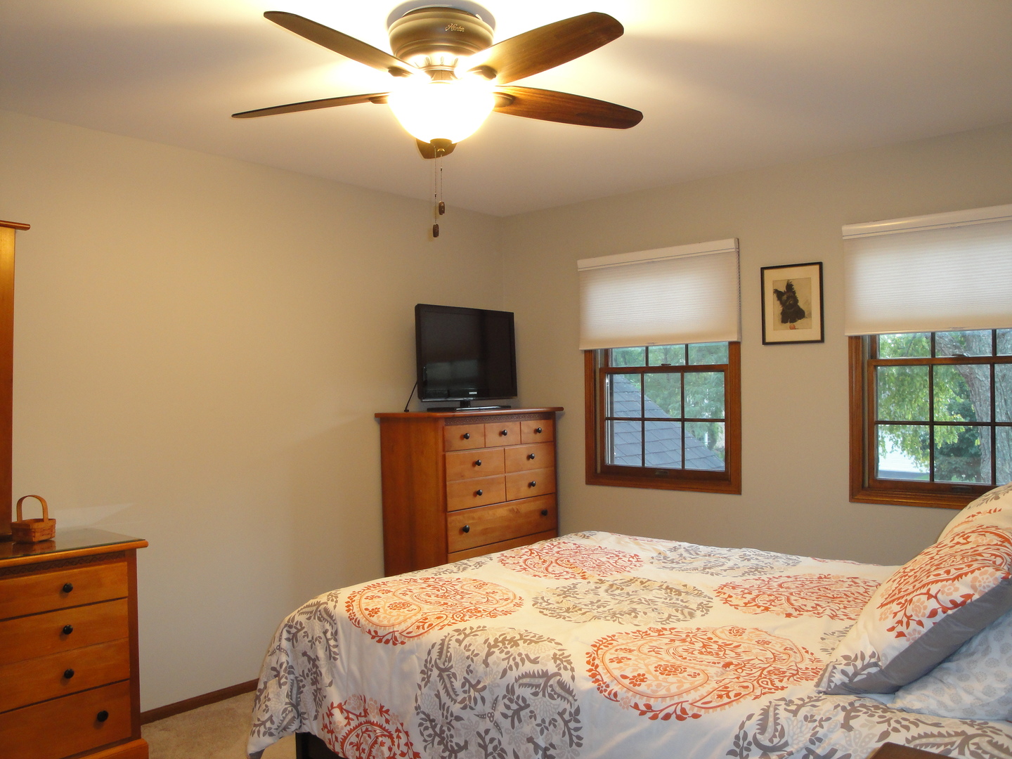 119 Pleasant Hill Court, Frankfort, IL 60423