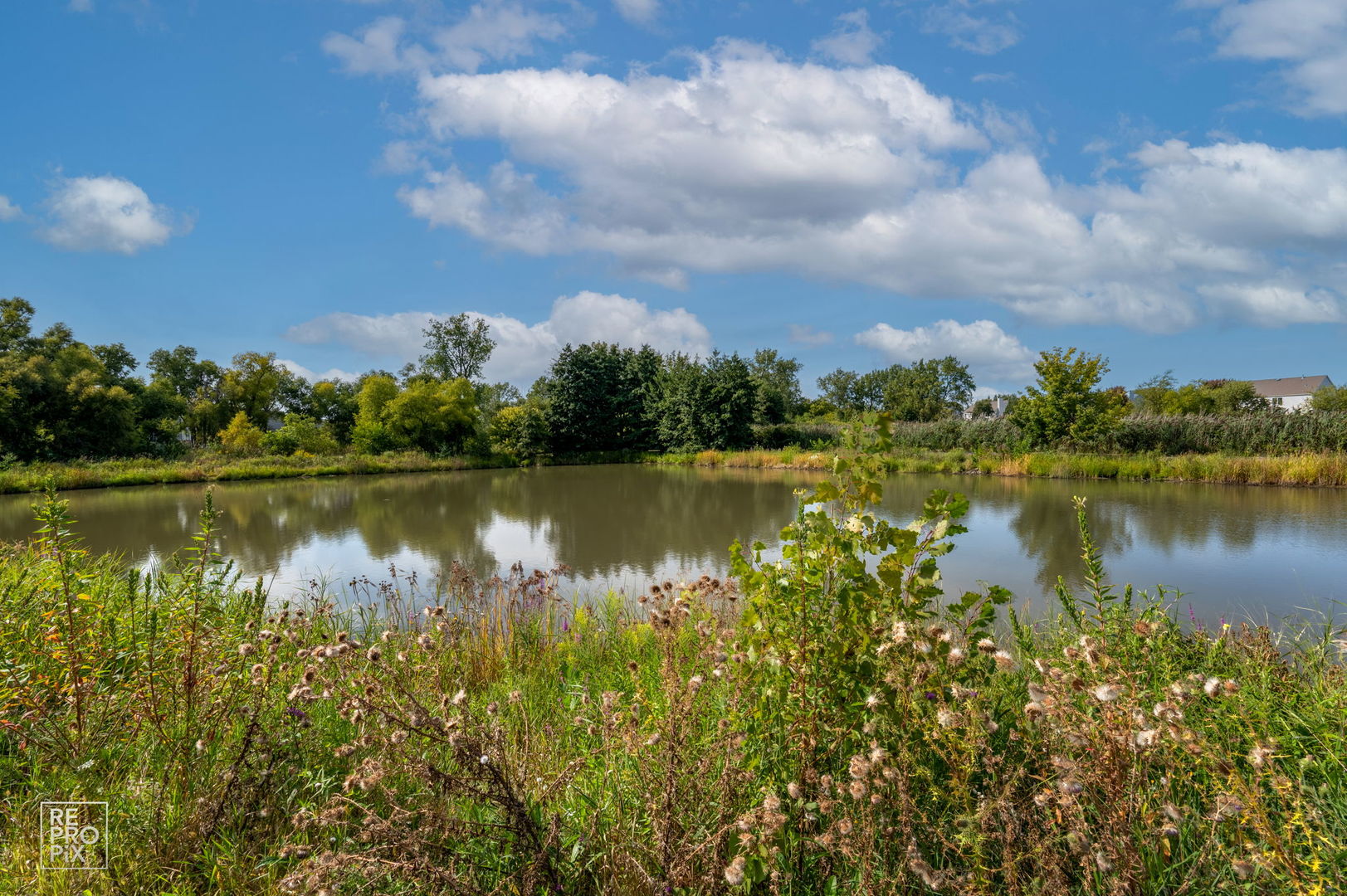 1354 S Abington Lane, Round Lake, IL 60073