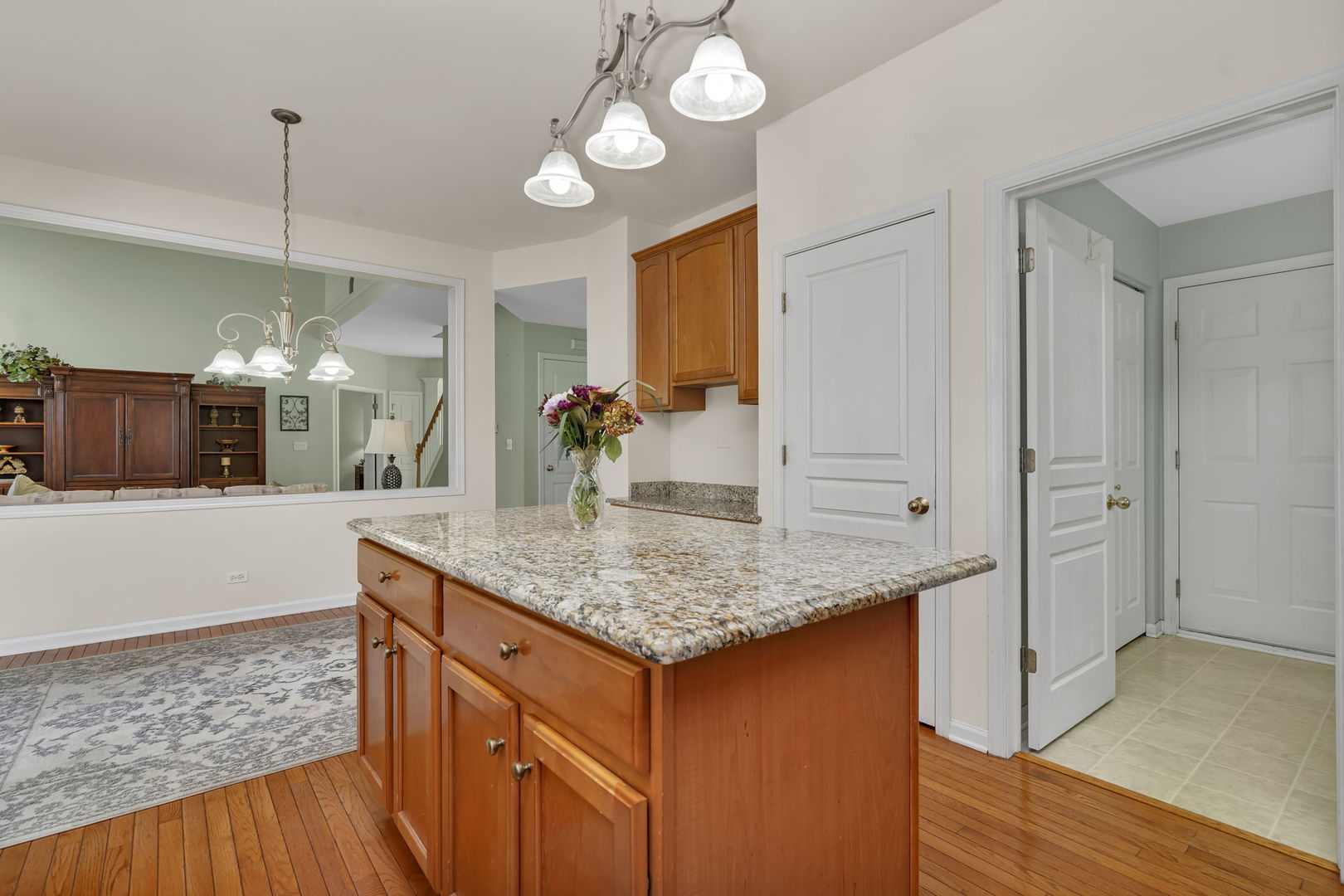 13028 Bradford Lane, Plainfield, IL 60585