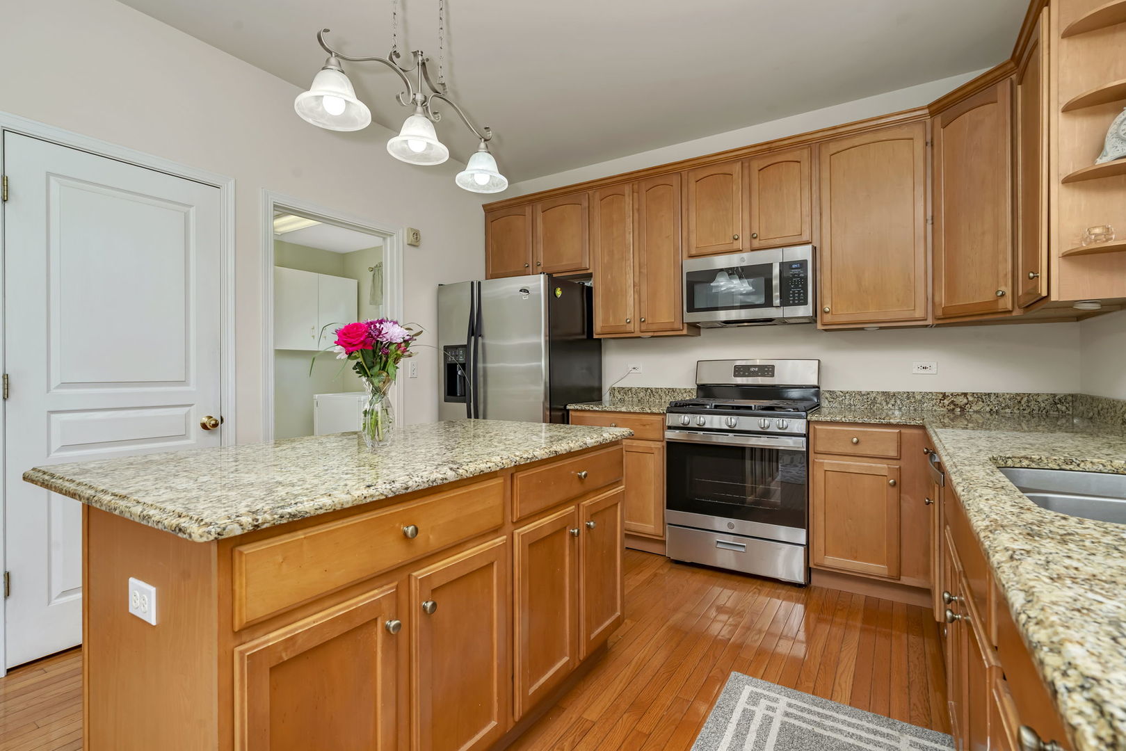 13028 Bradford Lane, Plainfield, IL 60585