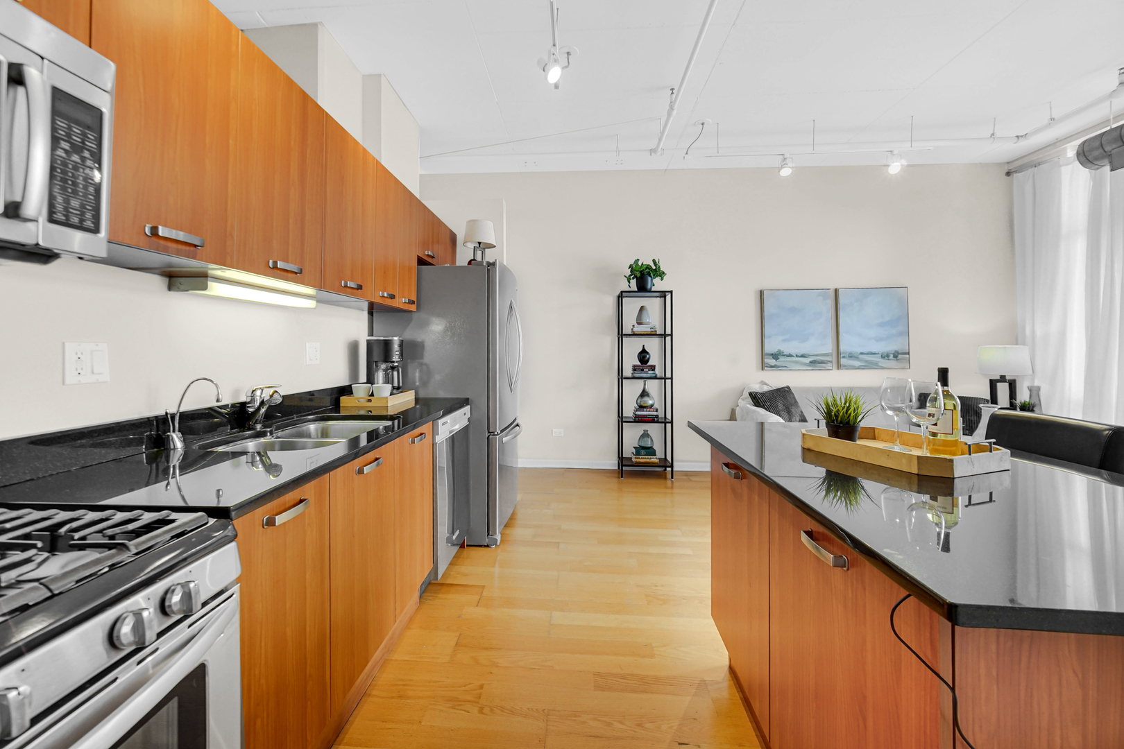 212 E Cullerton Street #1109, Chicago, IL 60616
