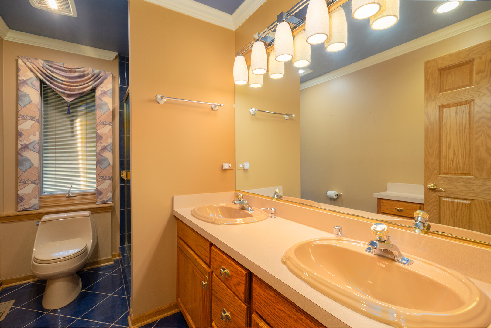 807 Hitchcock Avenue, Lisle, IL 60532