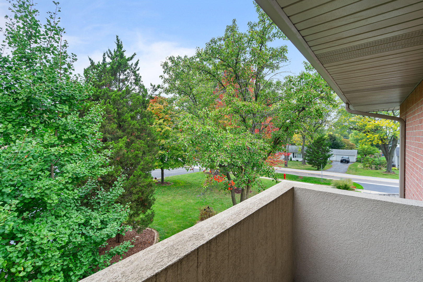 807 Hitchcock Avenue, Lisle, IL 60532