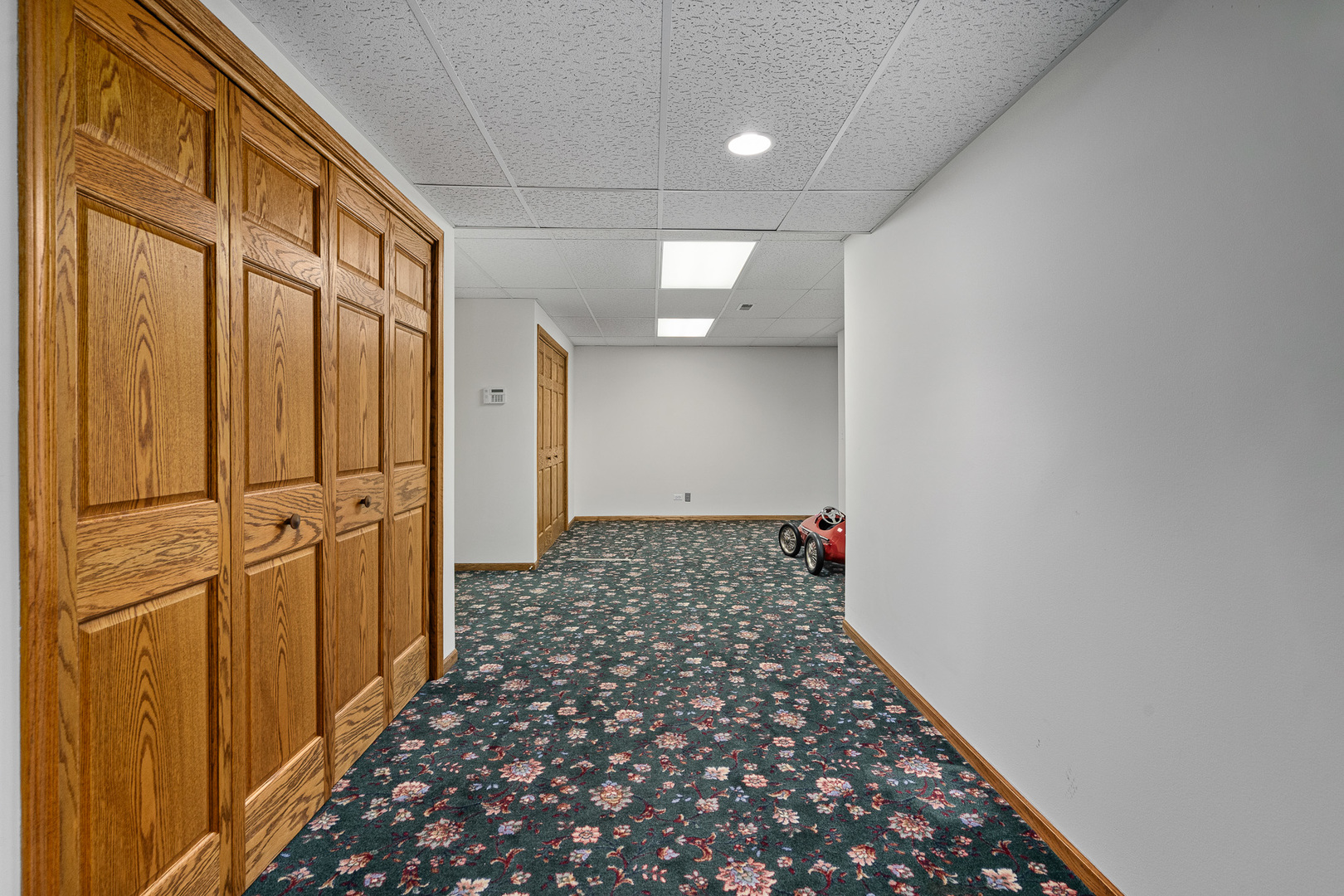 807 Hitchcock Avenue, Lisle, IL 60532