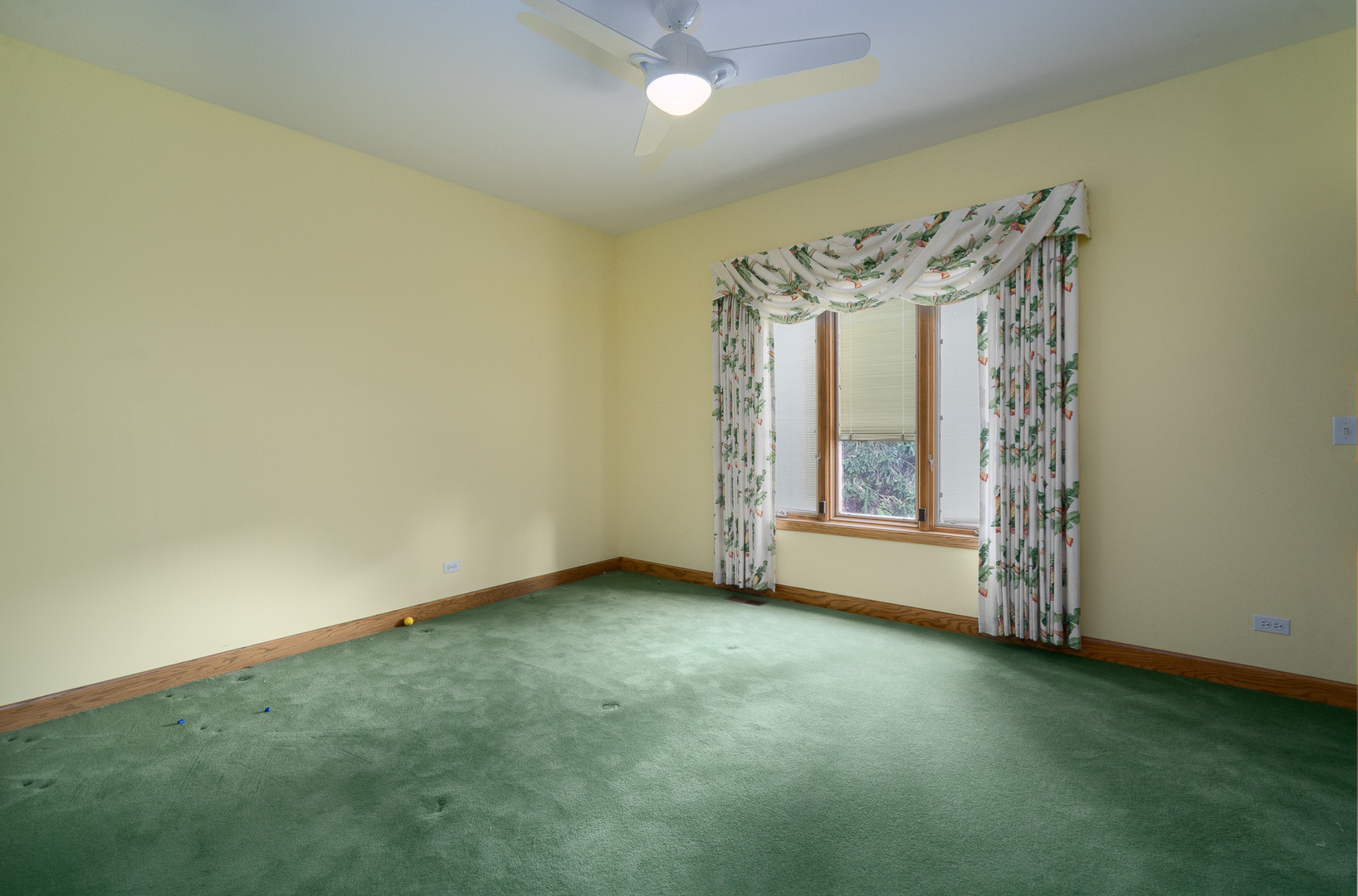 807 Hitchcock Avenue, Lisle, IL 60532