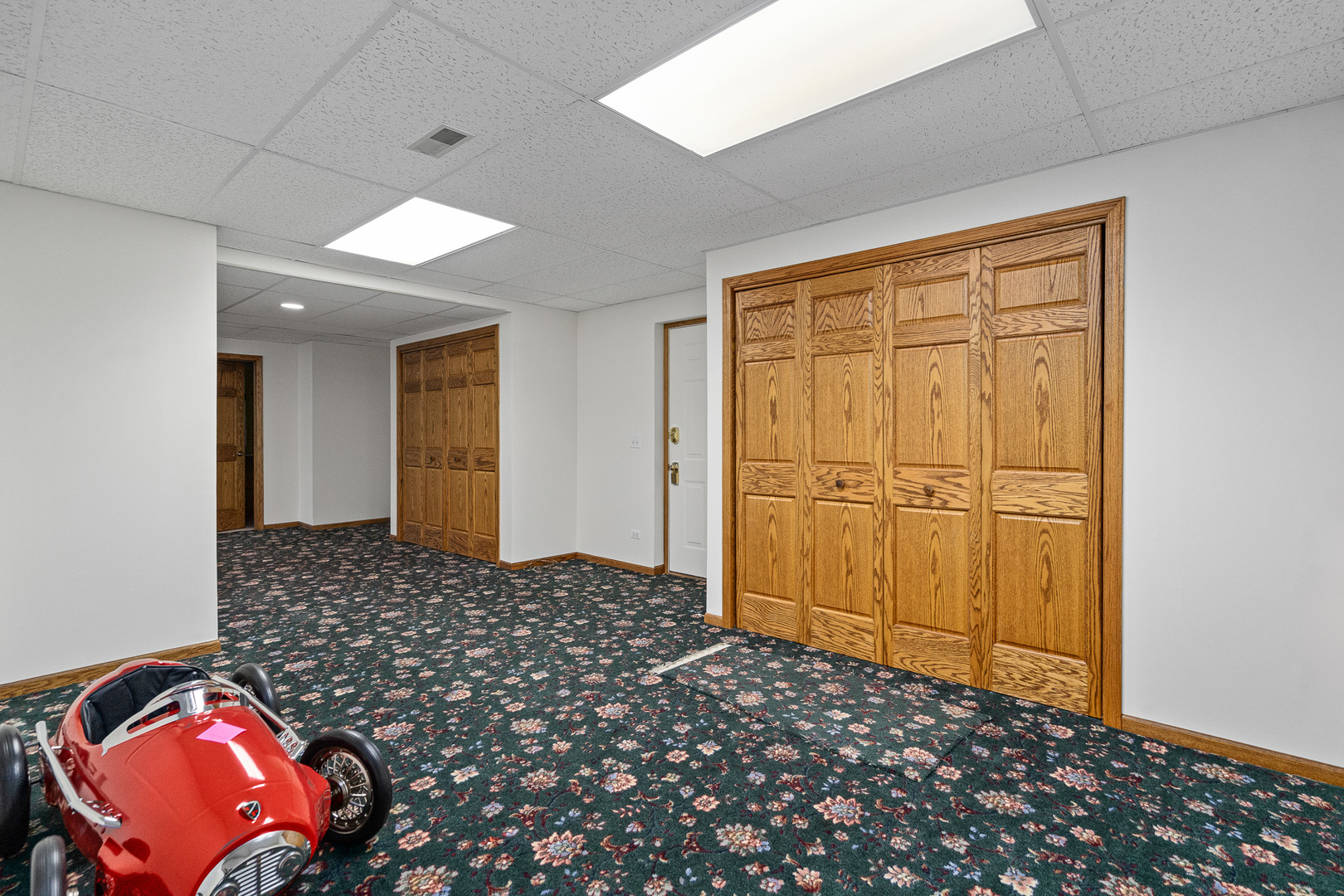 807 Hitchcock Avenue, Lisle, IL 60532