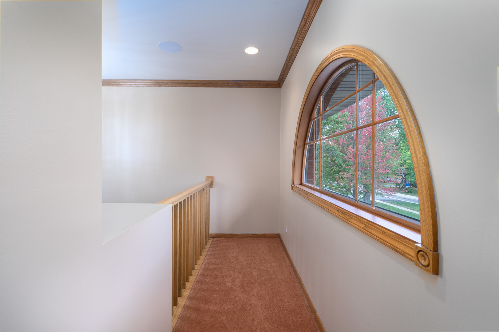 807 Hitchcock Avenue, Lisle, IL 60532