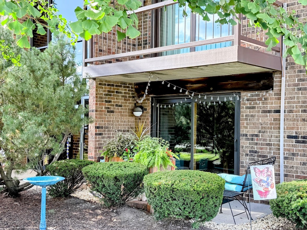 271 W First Street #1B, Elmhurst, IL 60126