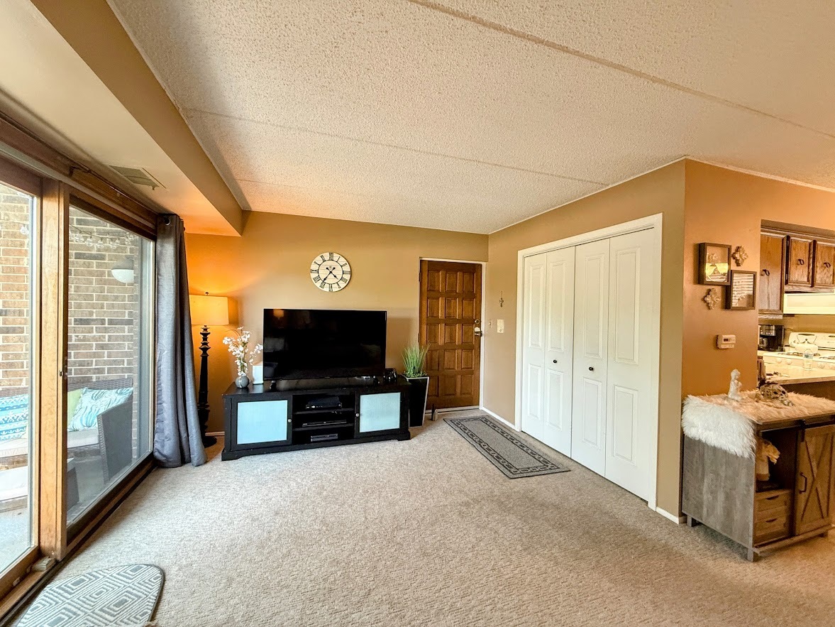271 W First Street #1B, Elmhurst, IL 60126