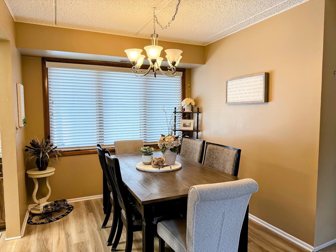 271 W First Street #1B, Elmhurst, IL 60126