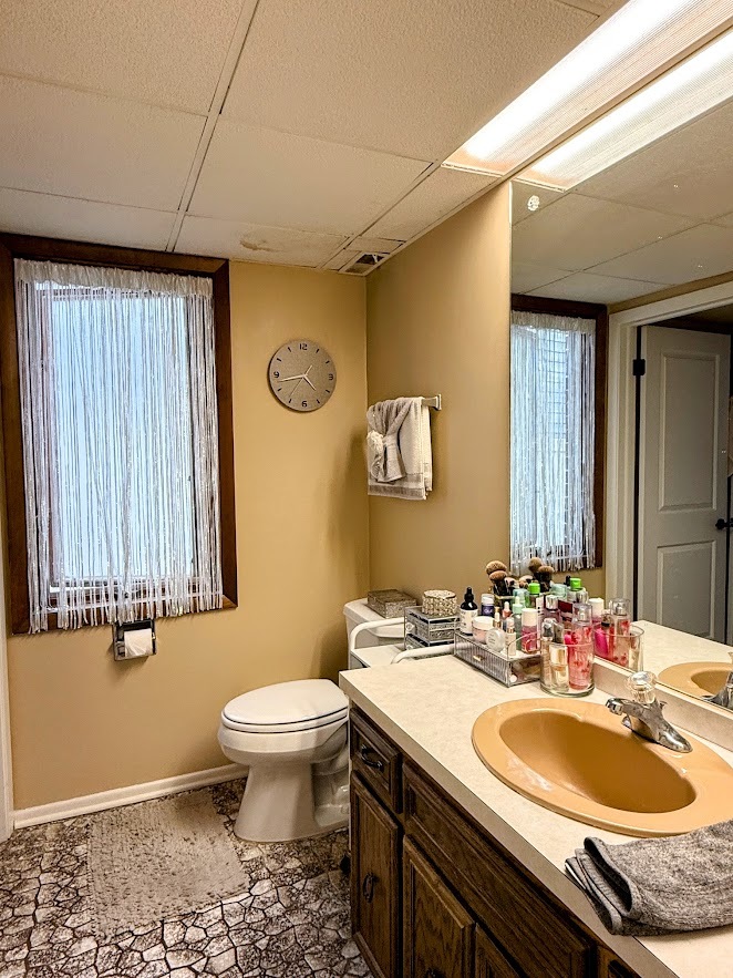 271 W First Street #1B, Elmhurst, IL 60126