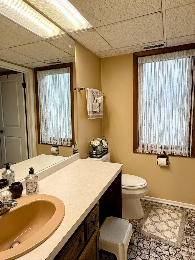 271 W First Street #1B, Elmhurst, IL 60126