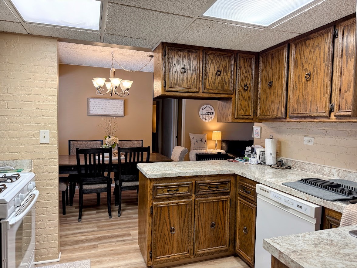 271 W First Street #1B, Elmhurst, IL 60126