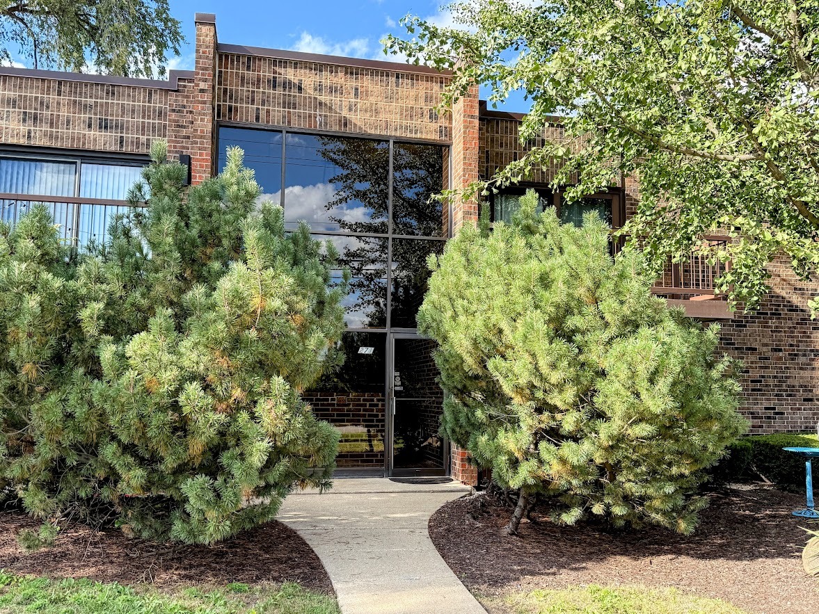 271 W First Street #1B, Elmhurst, IL 60126