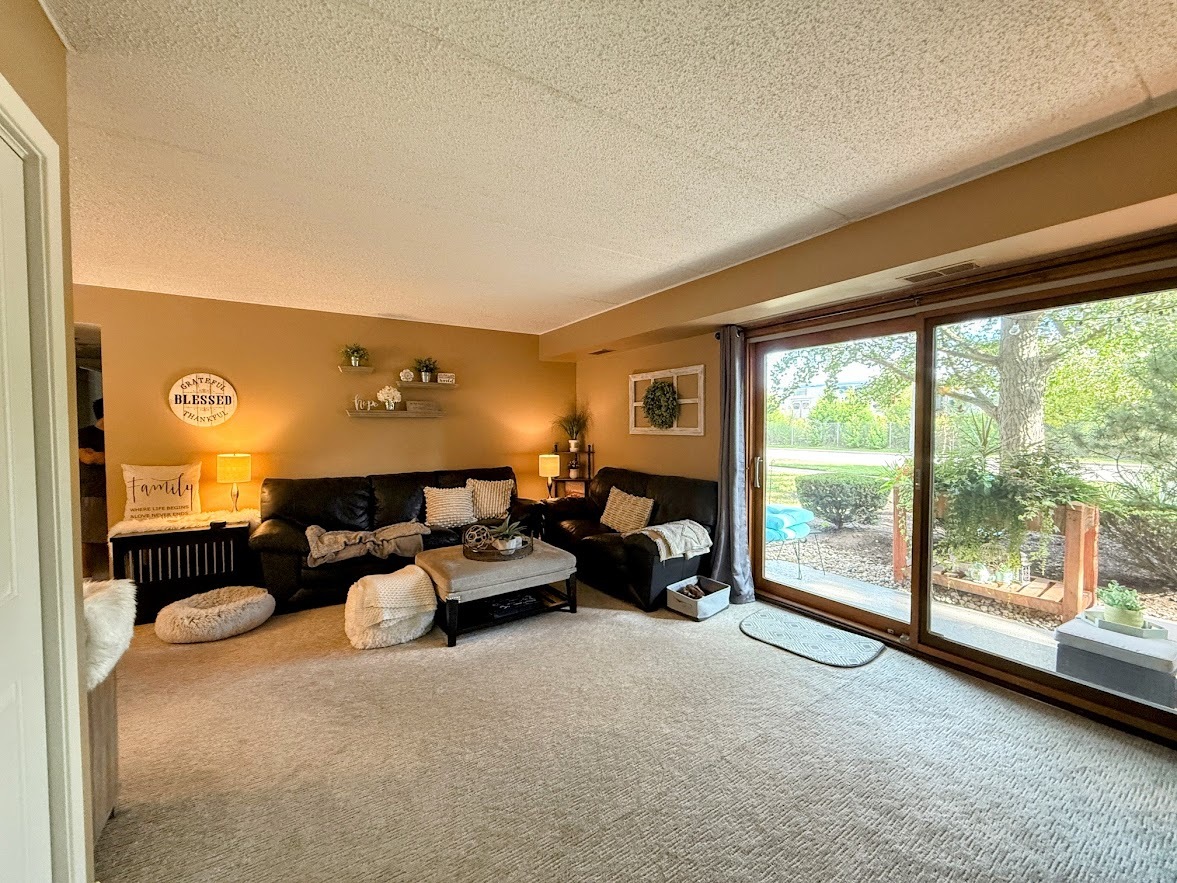 271 W First Street #1B, Elmhurst, IL 60126